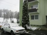 IMG_9768.JPG