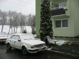 IMG_9769.JPG