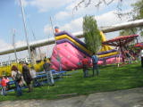 IMG_7563.JPG