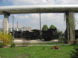 IMG_7564.JPG
